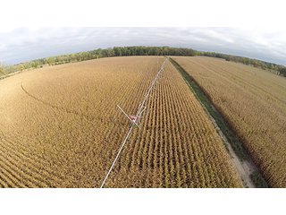 Property photo 14 - Southern Michigan Land Auction - 2 Auctions in 1 - 229+/- Acres and 66+/- Acres